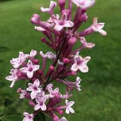 Karen Emerson's photo