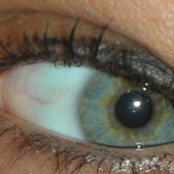 Emanuela Robaldo's photo