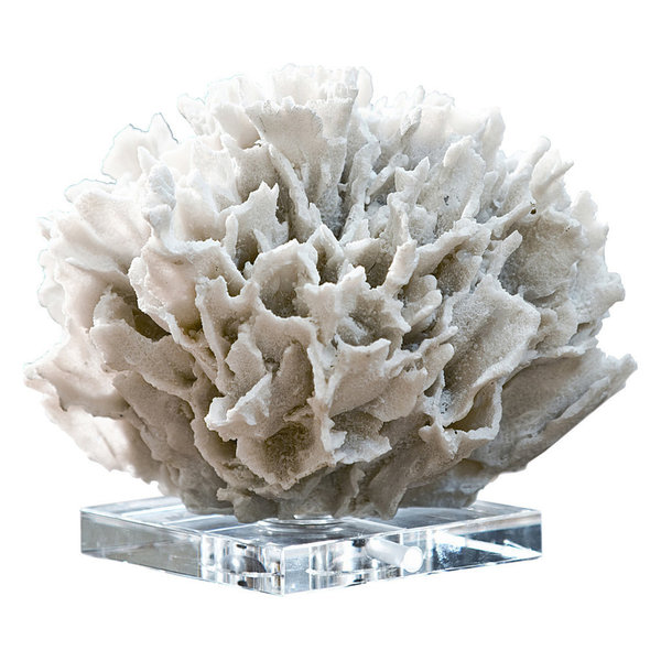 Ribbon Coral (White)