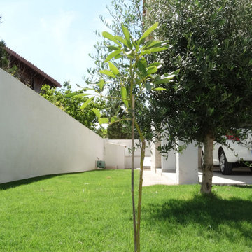 Vista lateral del jardín con olivo y aguacatero