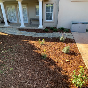 Synthetic turf , mulch ,plant and drip installation