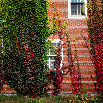 Houzz TV: Take a Leaf-Peeping Road Trip in New England