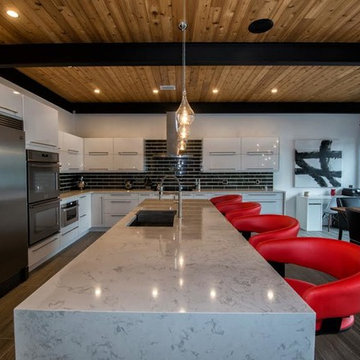 Sleek Industrial Living