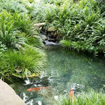 Garden Ponds