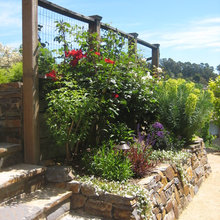 trellis