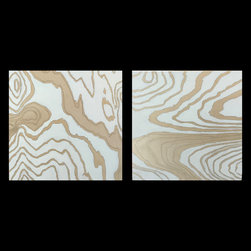 Woodgrain Series 0102 - Paintings