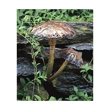 Escort Lighting Toadstool Wall Fixture (Double)