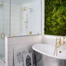 Moss Wall