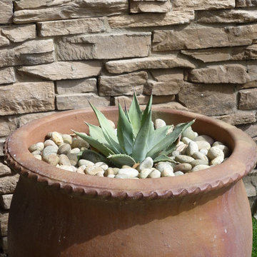 Planters