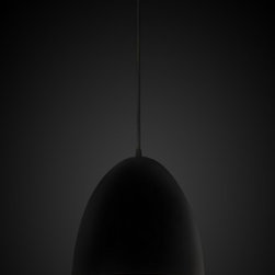 Egg Black Label Silver Pendant Light - Pendant Lighting