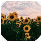 KATELYN BUCCIs foto