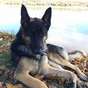 Kristen Kinley's photo