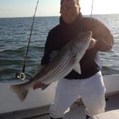 Matthew Hall's photo