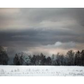 Julie Gatchell's photo