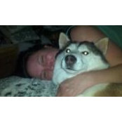 Kym Shearman's photo