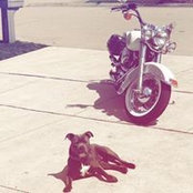 Vinni Lopiccolo's photo