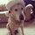 constance_crouch9