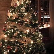 Dawn Hunt's photo