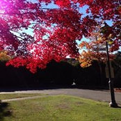 Charlotte Ren's photo