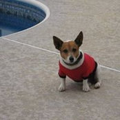 Diane Adams's photo