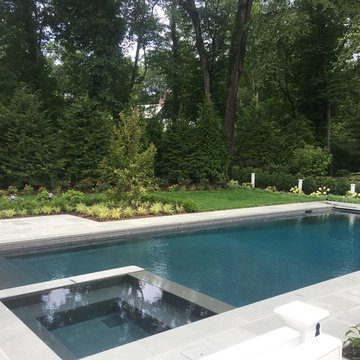 Greenwich Transitional