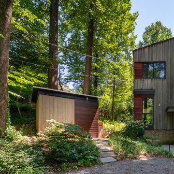 treehouse shed