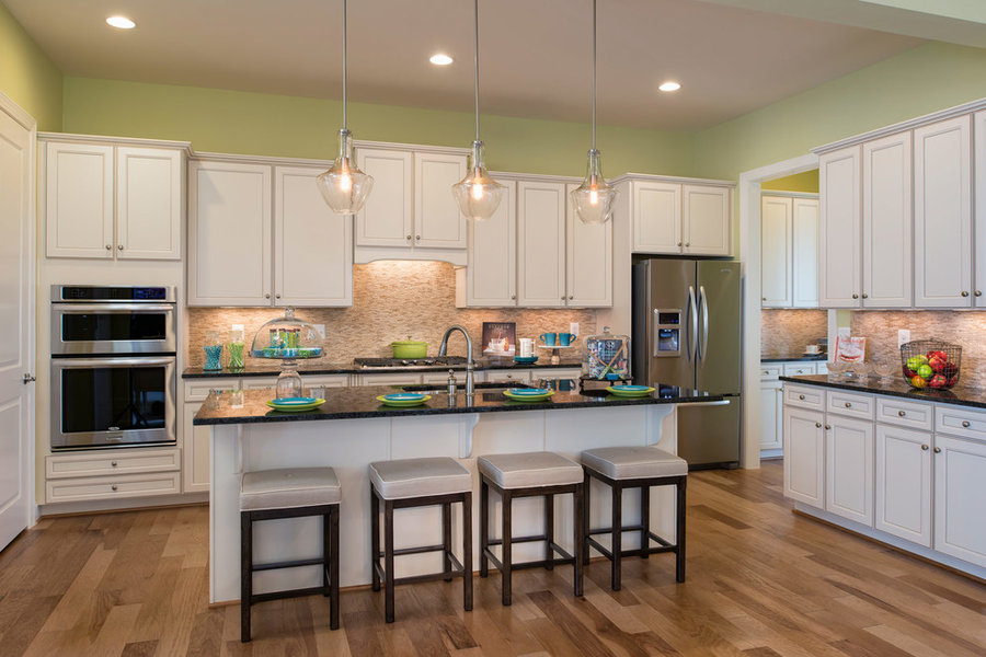 Cabin Branch Chicago Model Home, Maryland