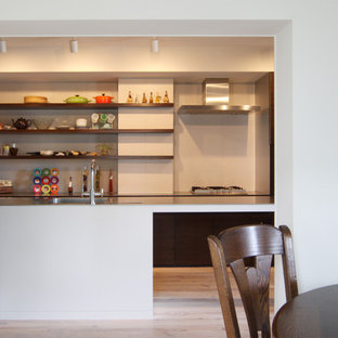 Mid-sized asian kitchen pantry photos - Inspiration for a mid-sized zen galley kitchen pantry remodel in Osaka with an integrated sink, stainless steel countertops and an island