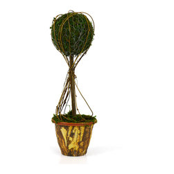 Shea's Wildflower - Small Topiary Moss - Wreaths And Garlands