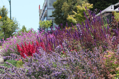 Arbutus Greenway Garden