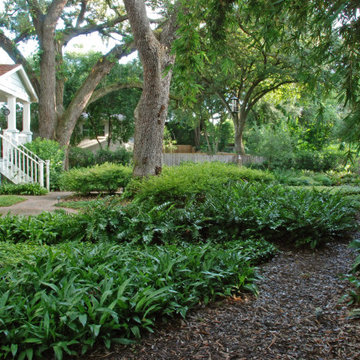 Woodland Garden