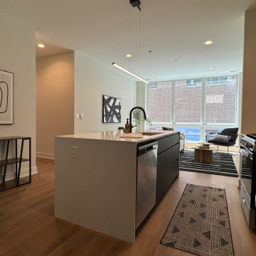 Low Line Commons Phase 3 | Model #309 Staging