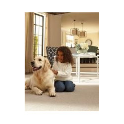 Carpet ideas from Mohawk - Products