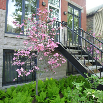 West Town Front Garden