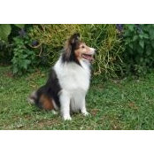Haley Kvarnberg's photo
