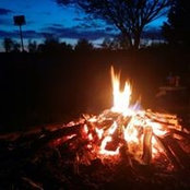Rachael McKenzie's photo