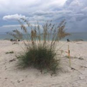 Teri Circhirillo's photo