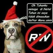 Irene Hartono's photo