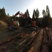 Junpei Ishihara's photo