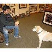 Sean Nam's photo
