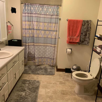 Bathroom Remodels