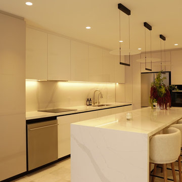 Apt Aria - Kitchen Remodeling