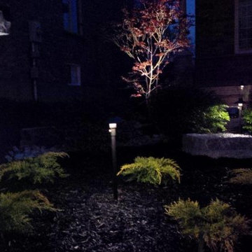 Our Work