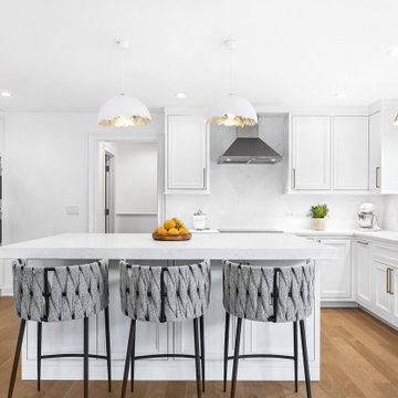 Skokie Single Family Home Remodel KITCHEN REMODELING
