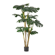 Wish List