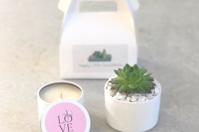 Succulent & Candle Gift Set