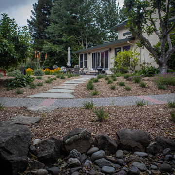 Skyhawk Backyard