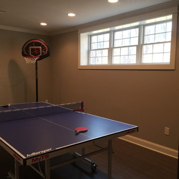 Island Lakes Basement Remodel