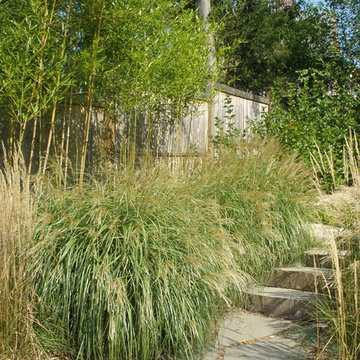 Short Hills Pool,Raised Spa, Landscape