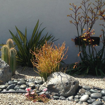 water-wise in the Santa Monica Mountains
